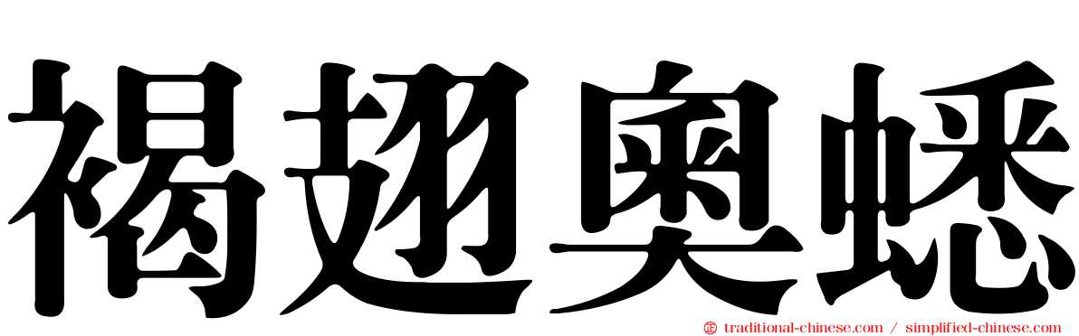 褐翅奧蟋