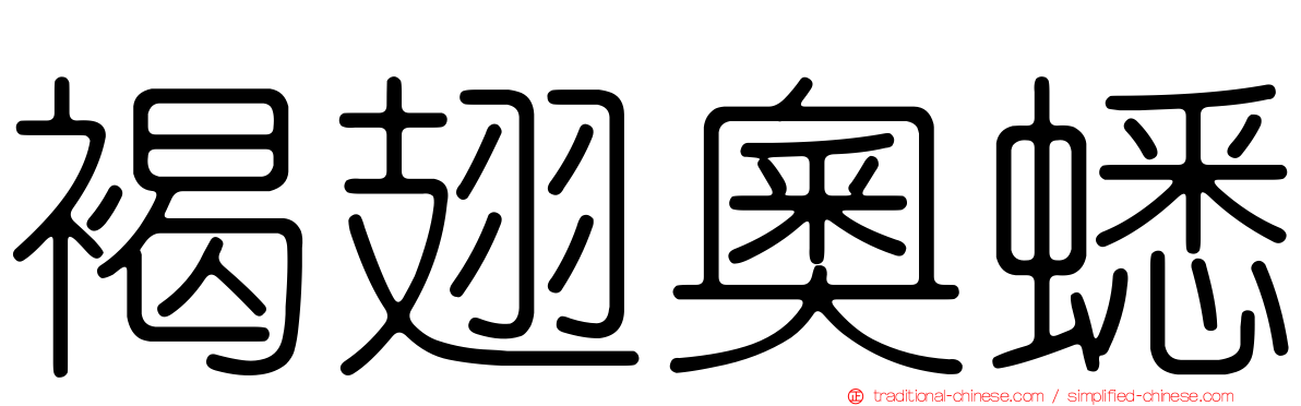 褐翅奧蟋