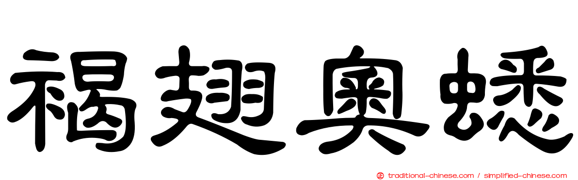 褐翅奧蟋