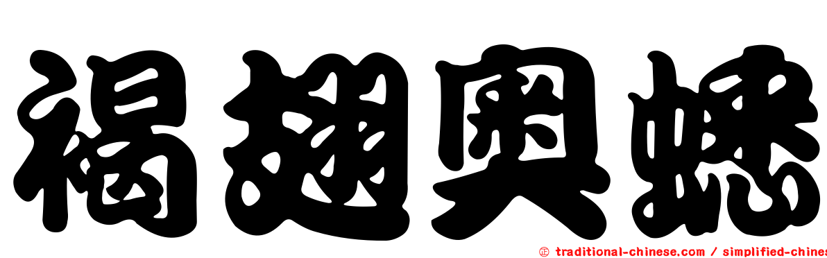 褐翅奧蟋