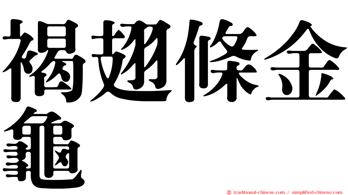 褐翅條金龜