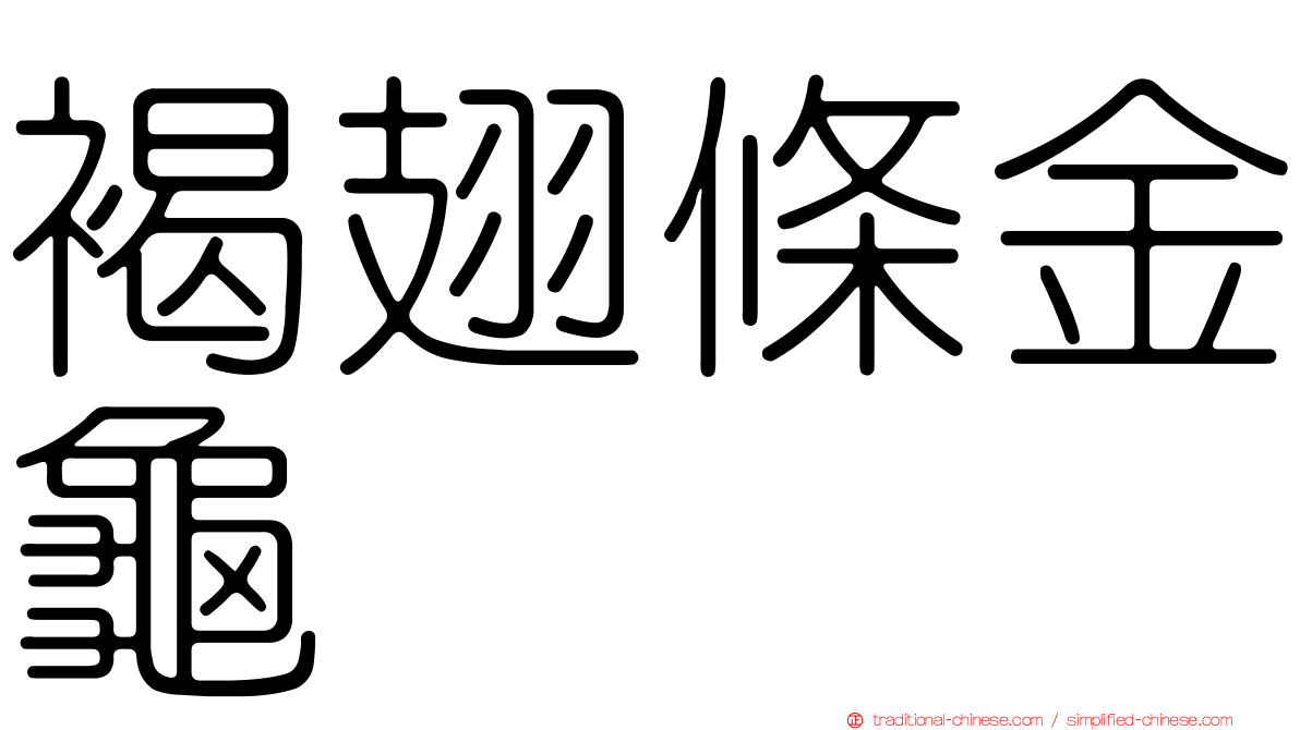 褐翅條金龜