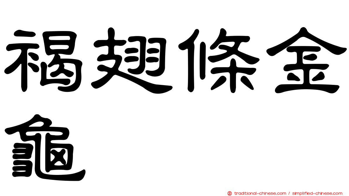 褐翅條金龜