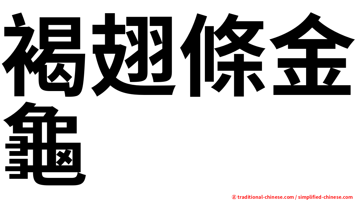 褐翅條金龜