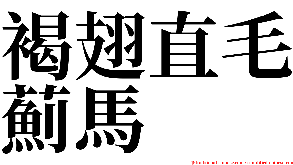 褐翅直毛薊馬 serif font
