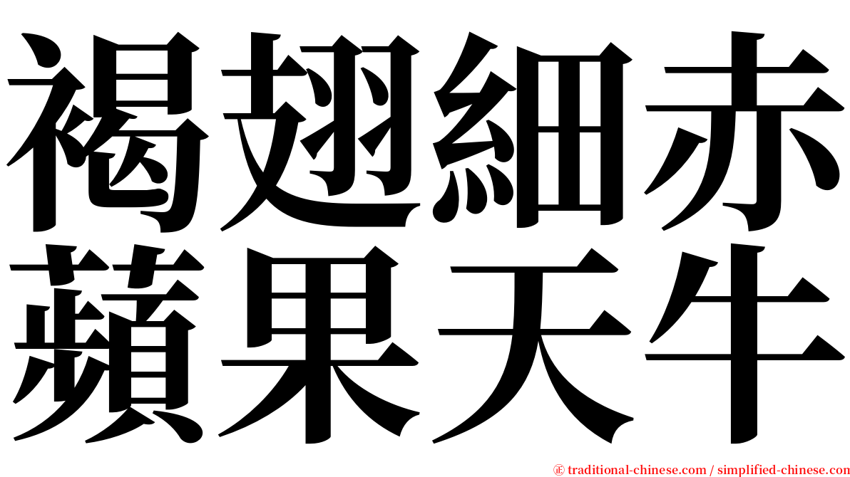 褐翅細赤蘋果天牛 serif font