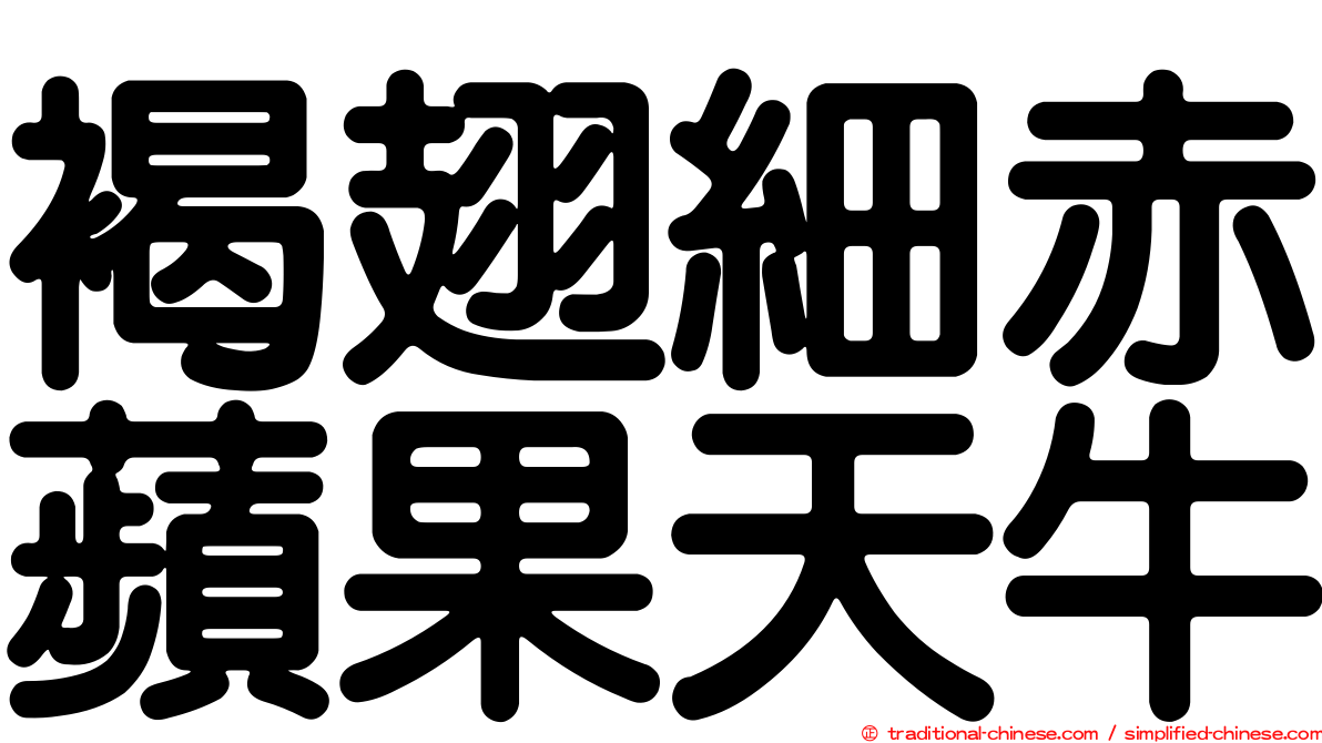 褐翅細赤蘋果天牛