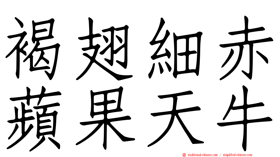 褐翅細赤蘋果天牛