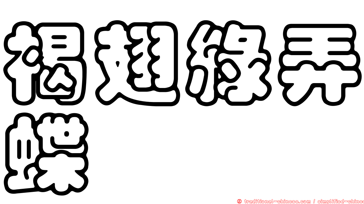 褐翅綠弄蝶