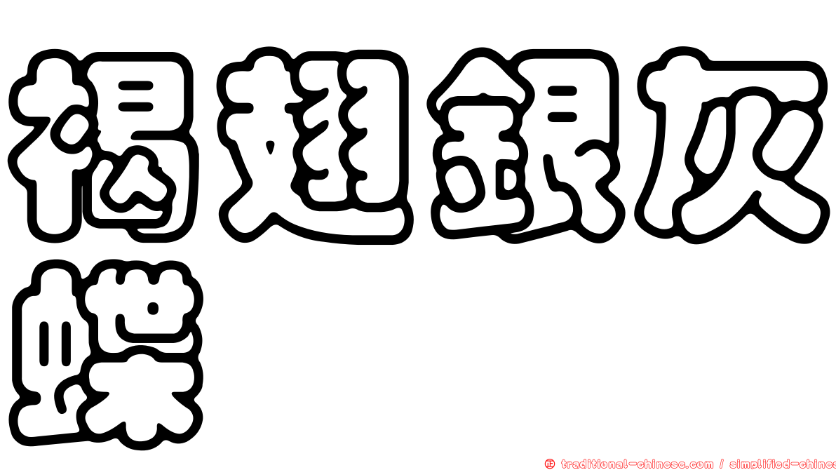 褐翅銀灰蝶