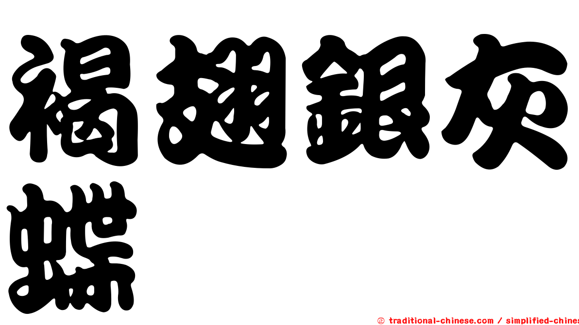 褐翅銀灰蝶