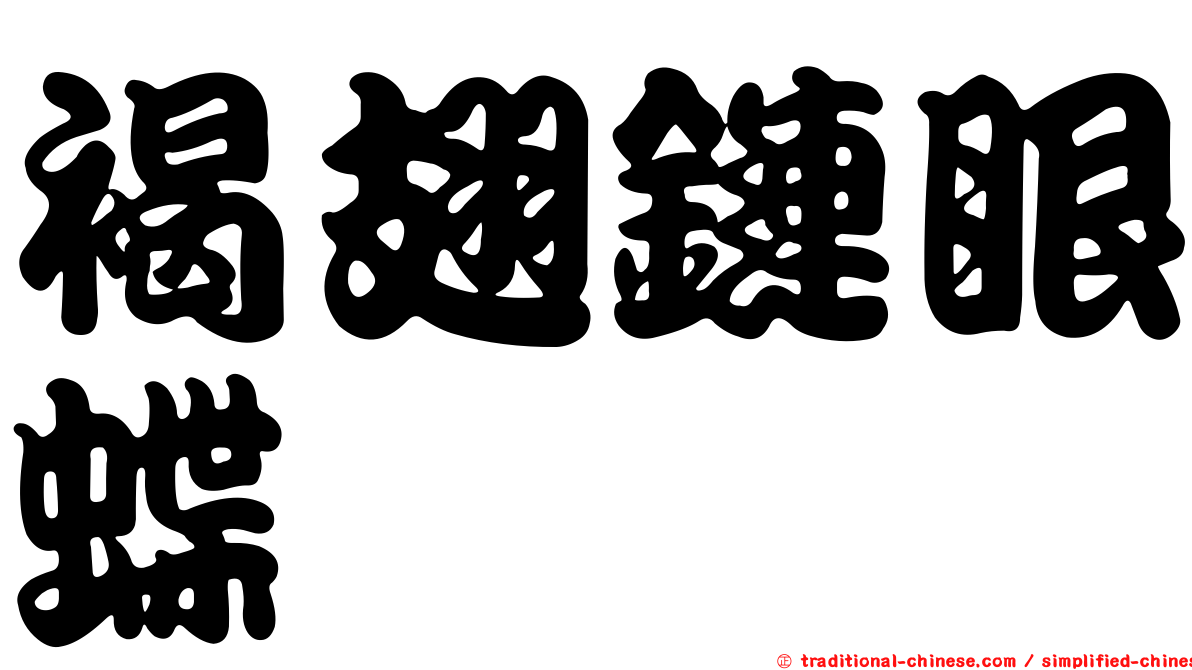 褐翅鏈眼蝶