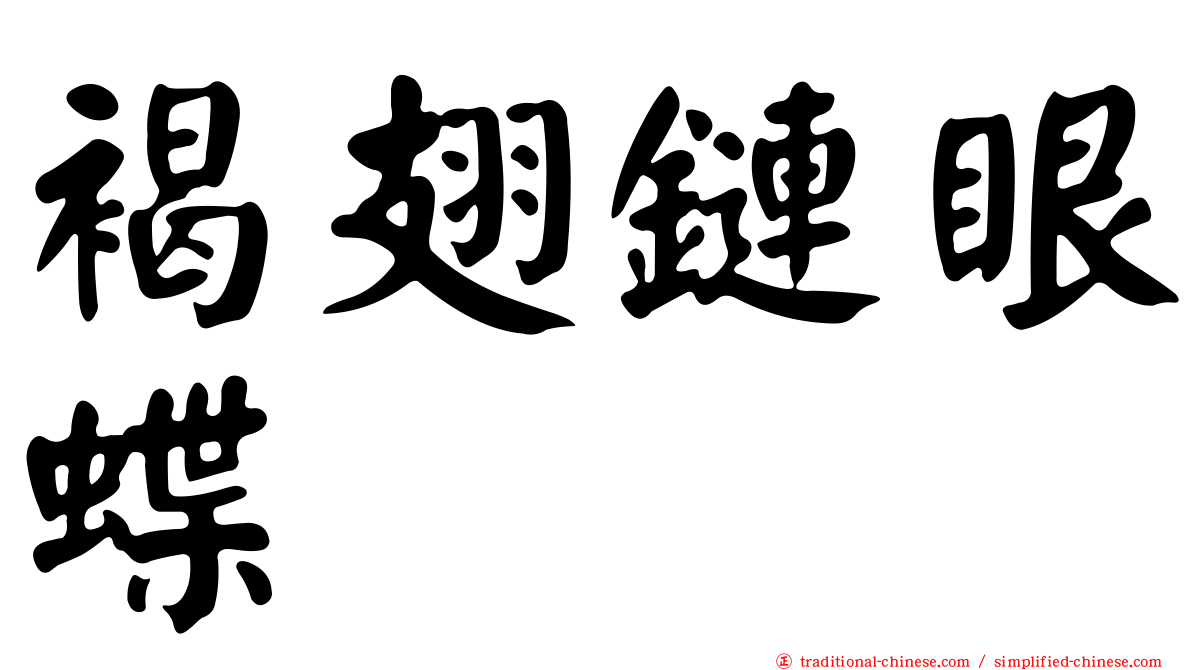 褐翅鏈眼蝶