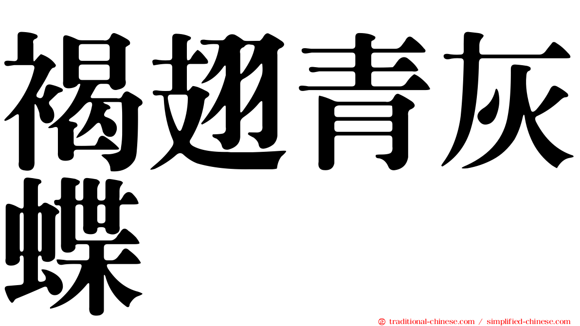 褐翅青灰蝶