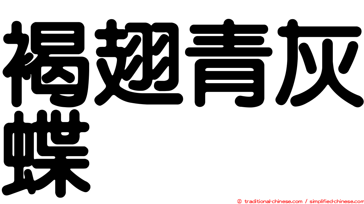 褐翅青灰蝶