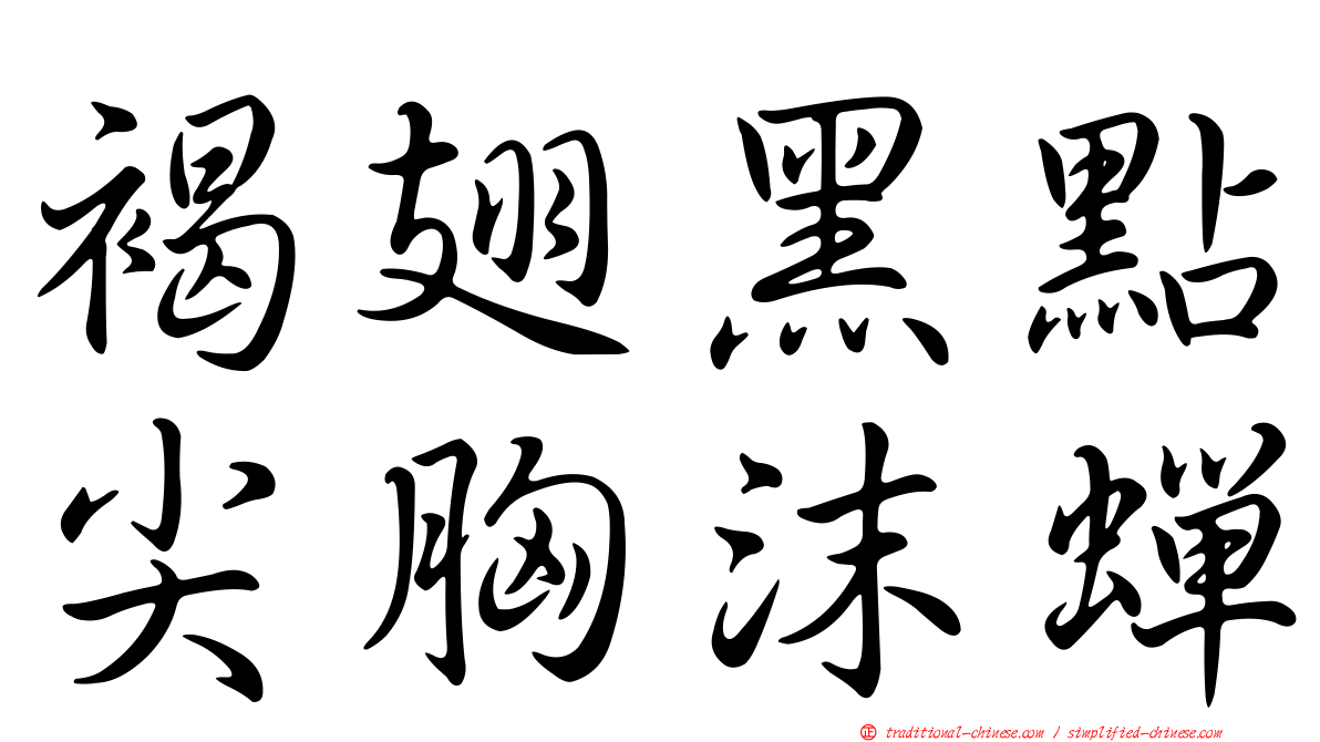 褐翅黑點尖胸沫蟬