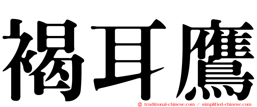 褐耳鷹