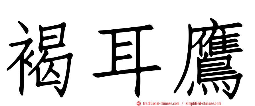 褐耳鷹