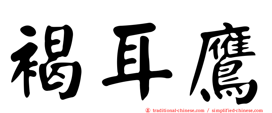 褐耳鷹