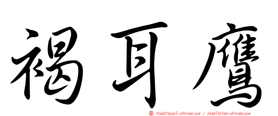 褐耳鷹