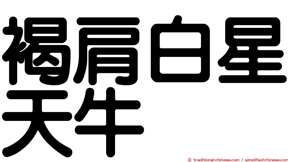 褐肩白星天牛