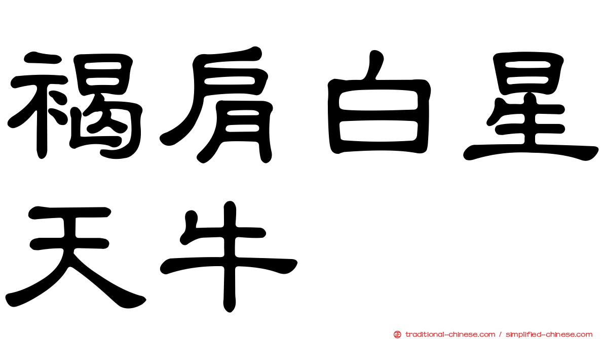 褐肩白星天牛