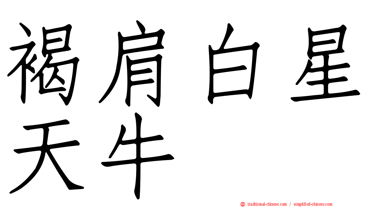 褐肩白星天牛