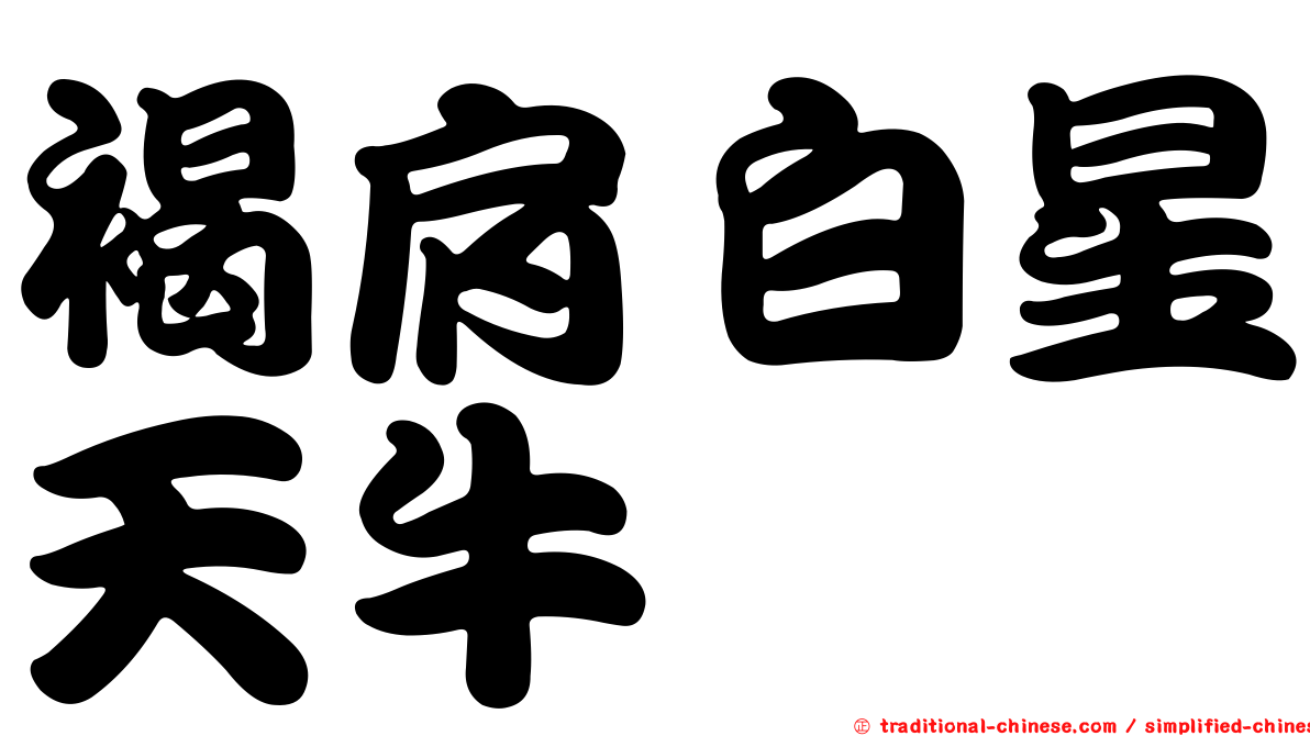褐肩白星天牛