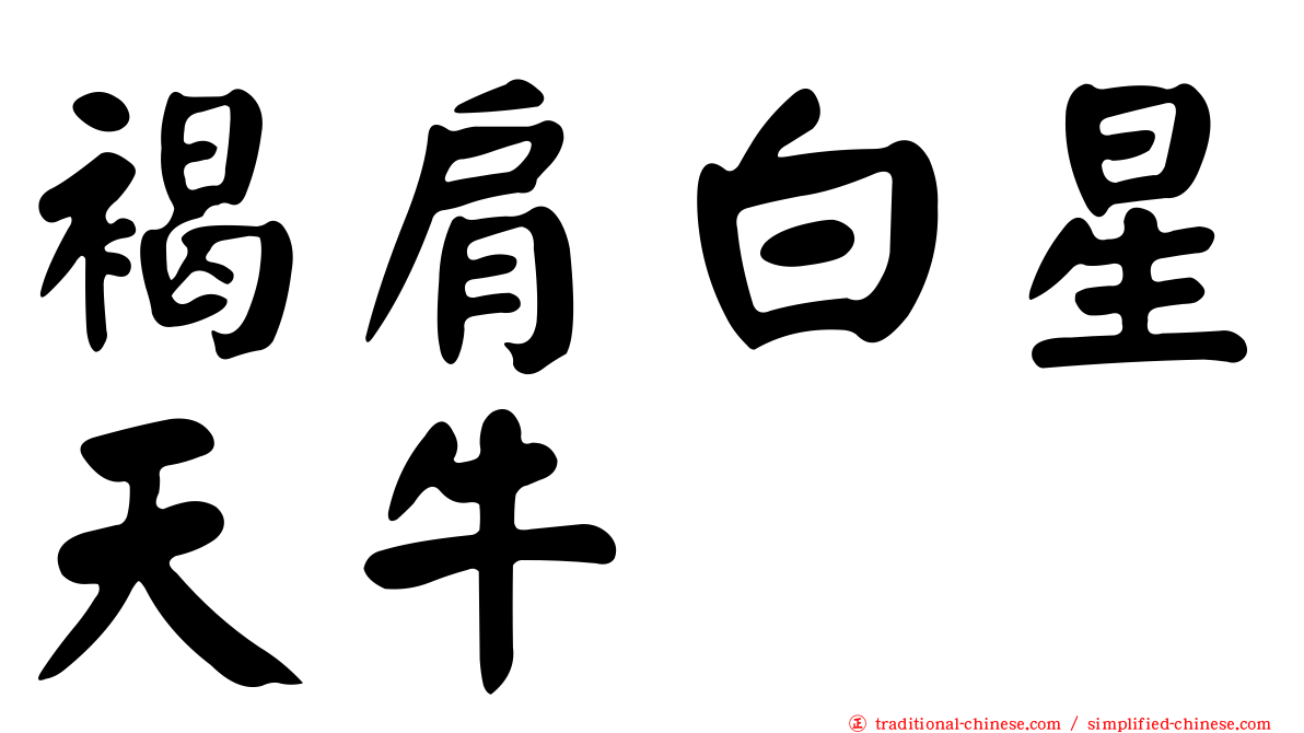 褐肩白星天牛