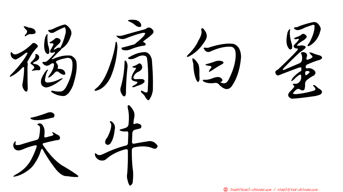 褐肩白星天牛