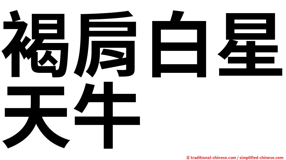 褐肩白星天牛