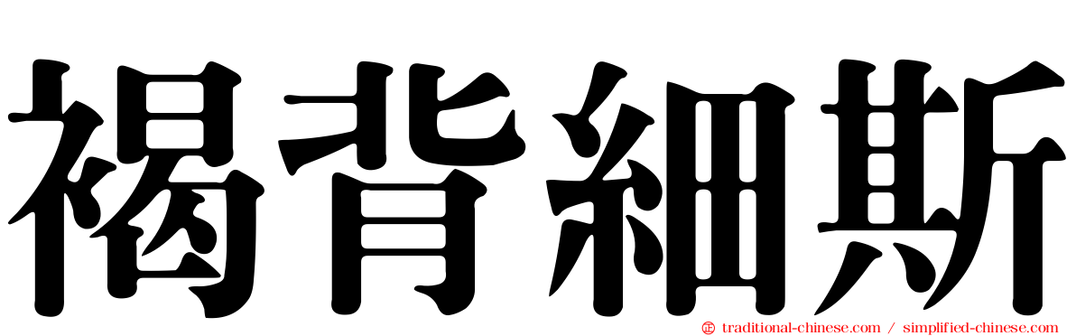 褐背細斯