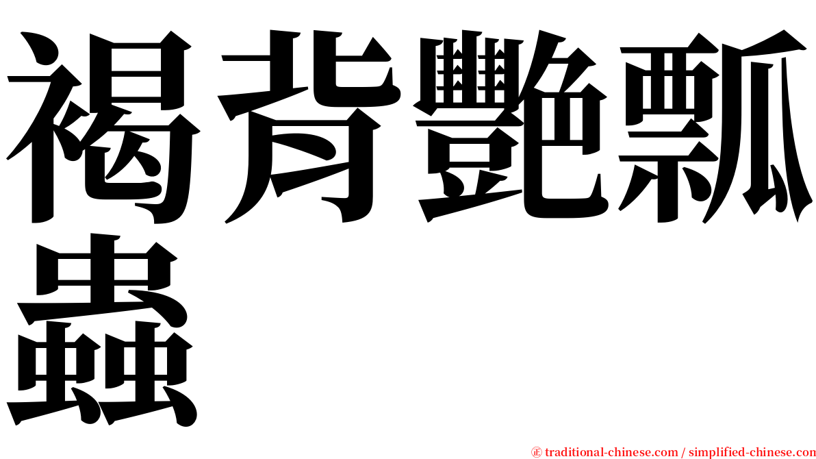 褐背艷瓢蟲 serif font