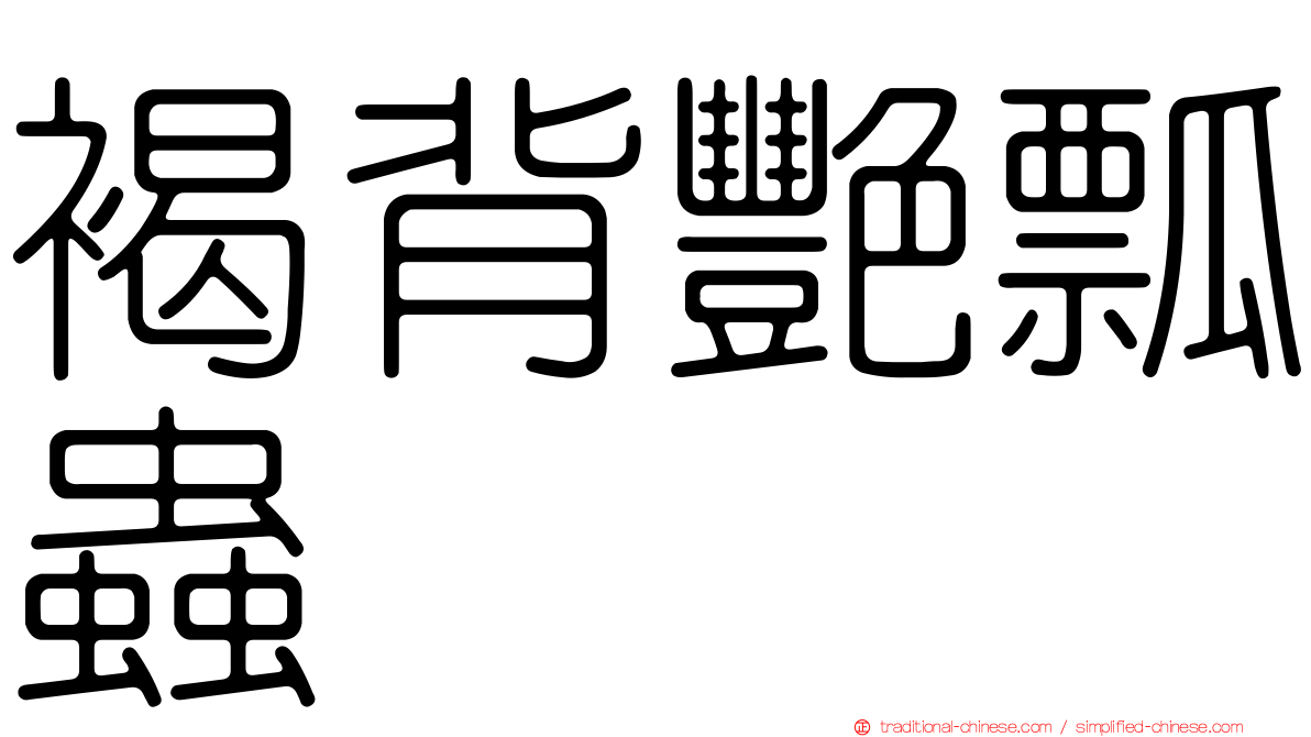 褐背艷瓢蟲