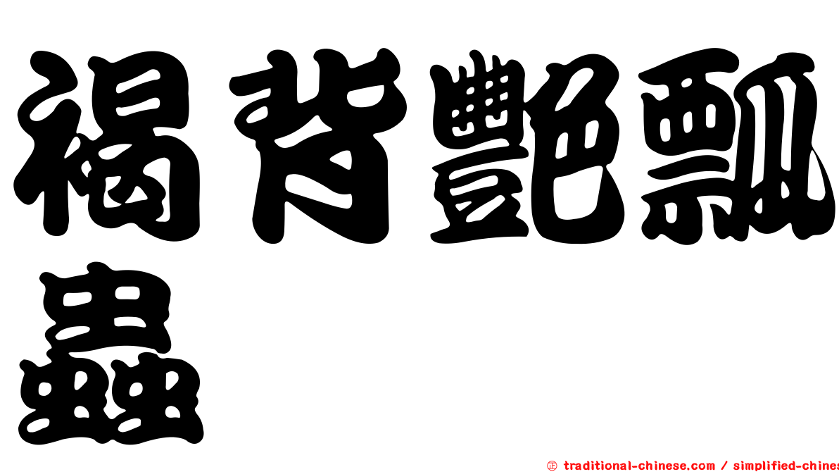 褐背艷瓢蟲