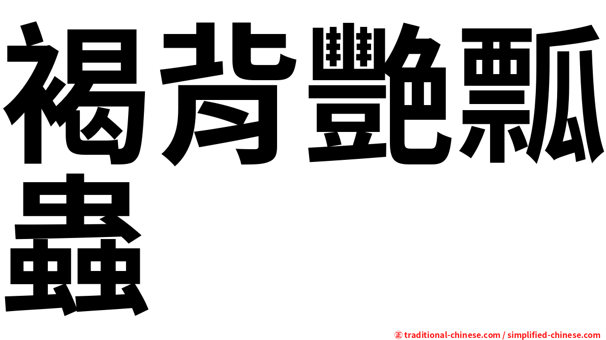 褐背艷瓢蟲
