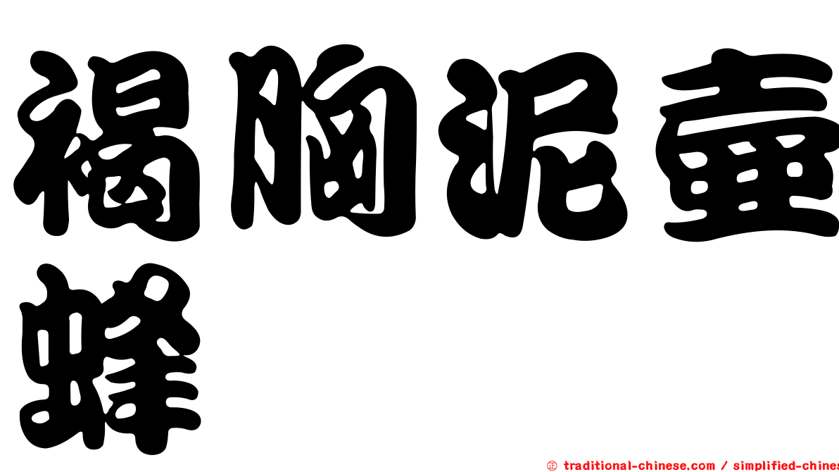 褐胸泥壺蜂