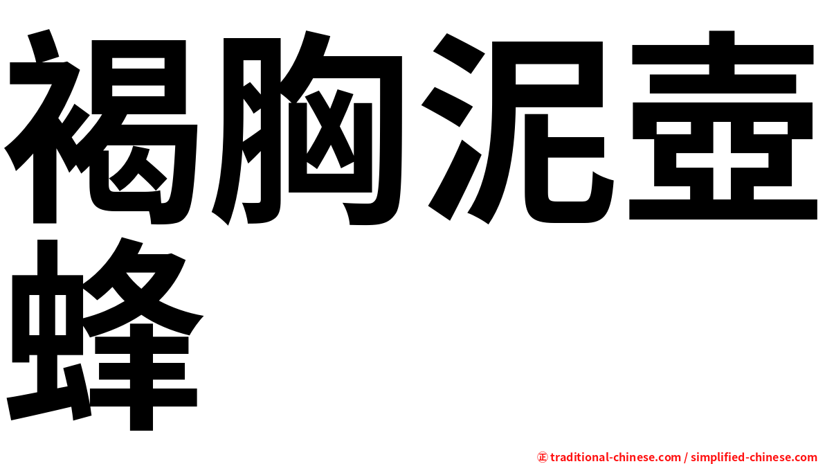 褐胸泥壺蜂