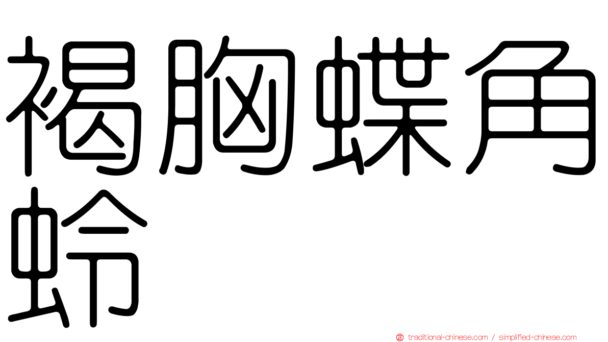 褐胸蝶角蛉