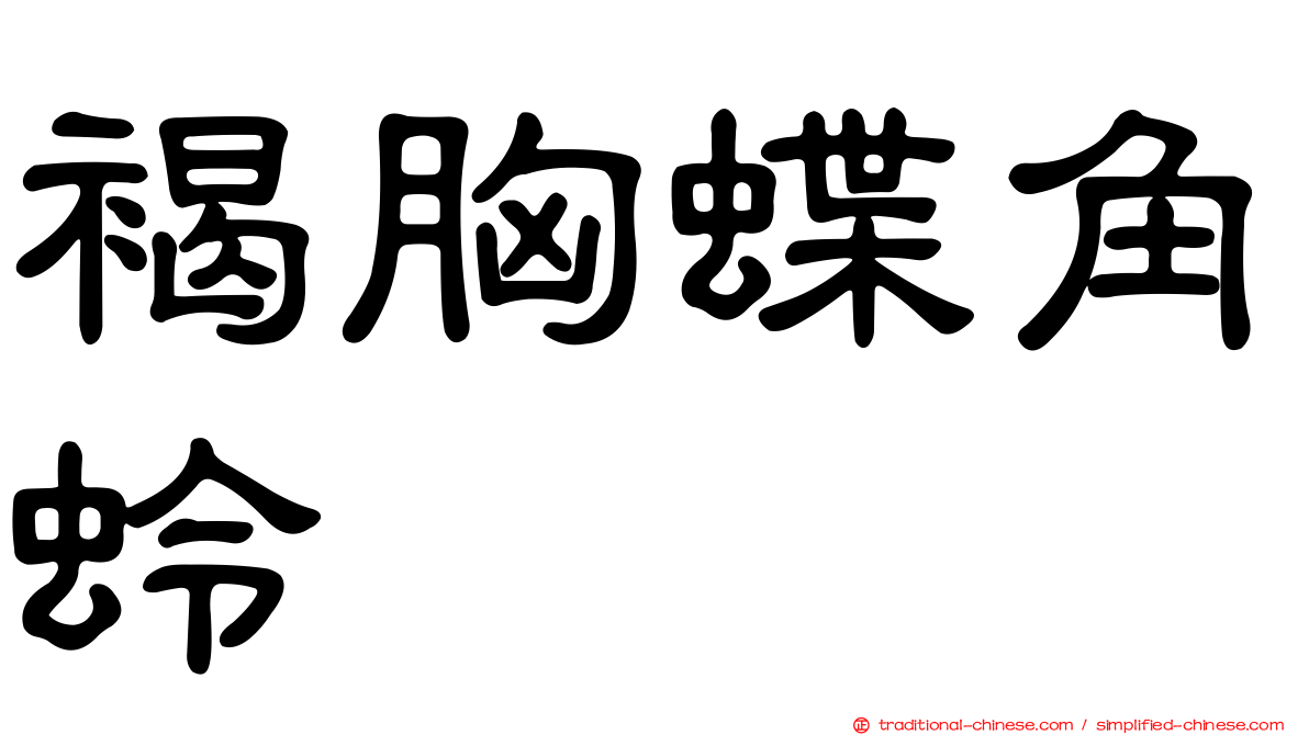褐胸蝶角蛉