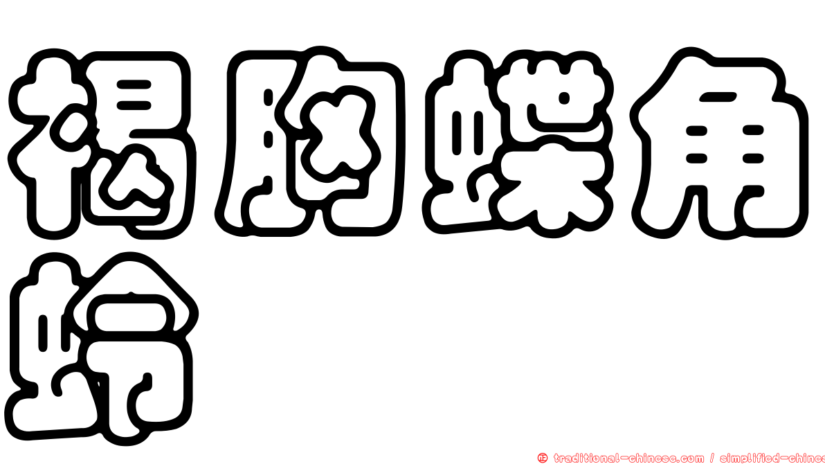 褐胸蝶角蛉