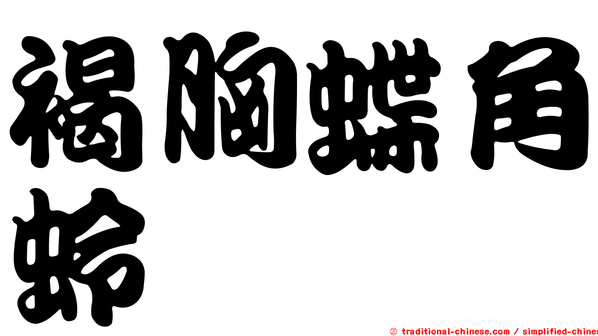 褐胸蝶角蛉