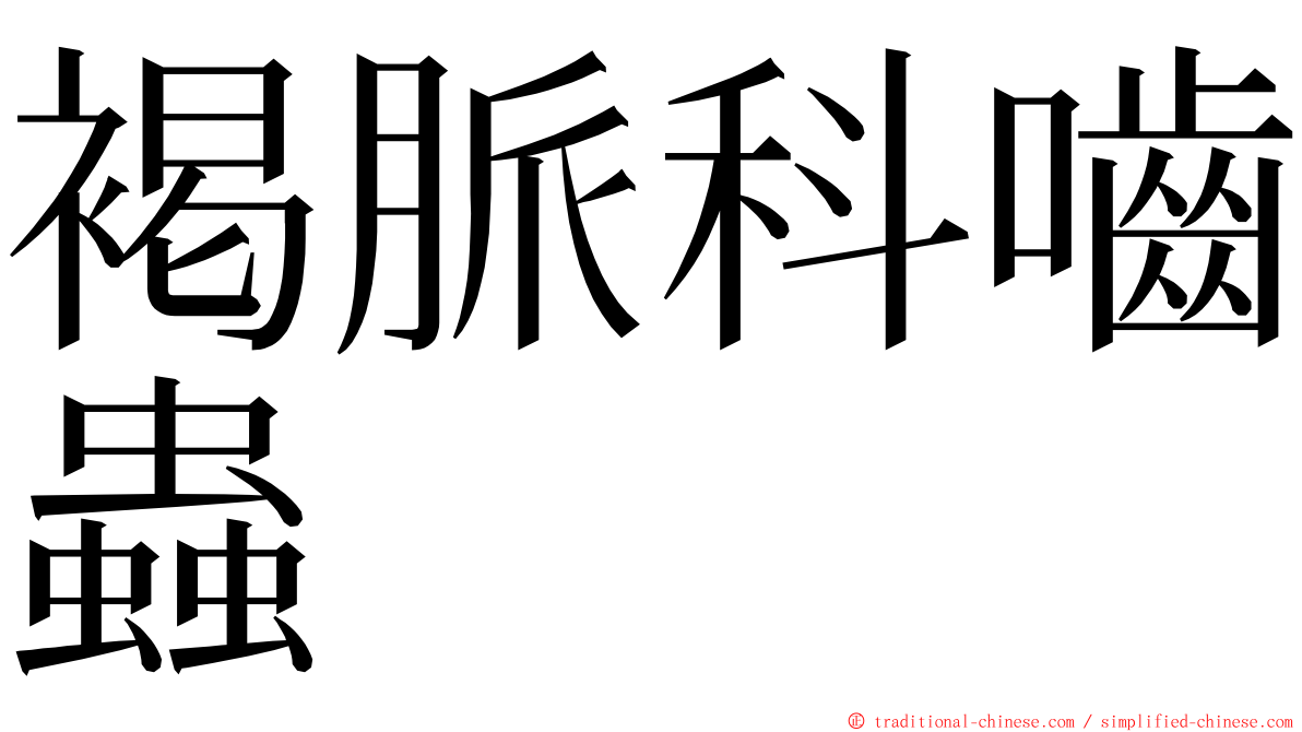 褐脈科嚙蟲 ming font