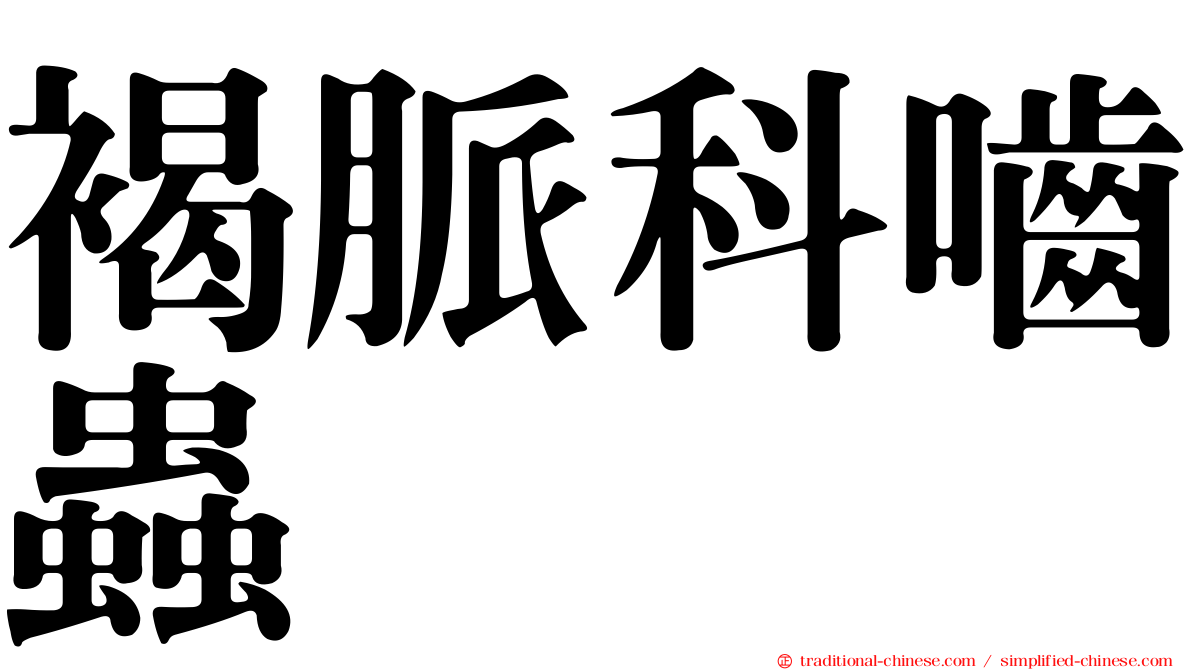 褐脈科嚙蟲