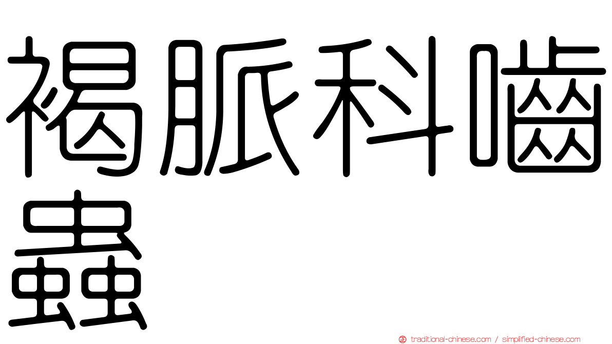 褐脈科嚙蟲