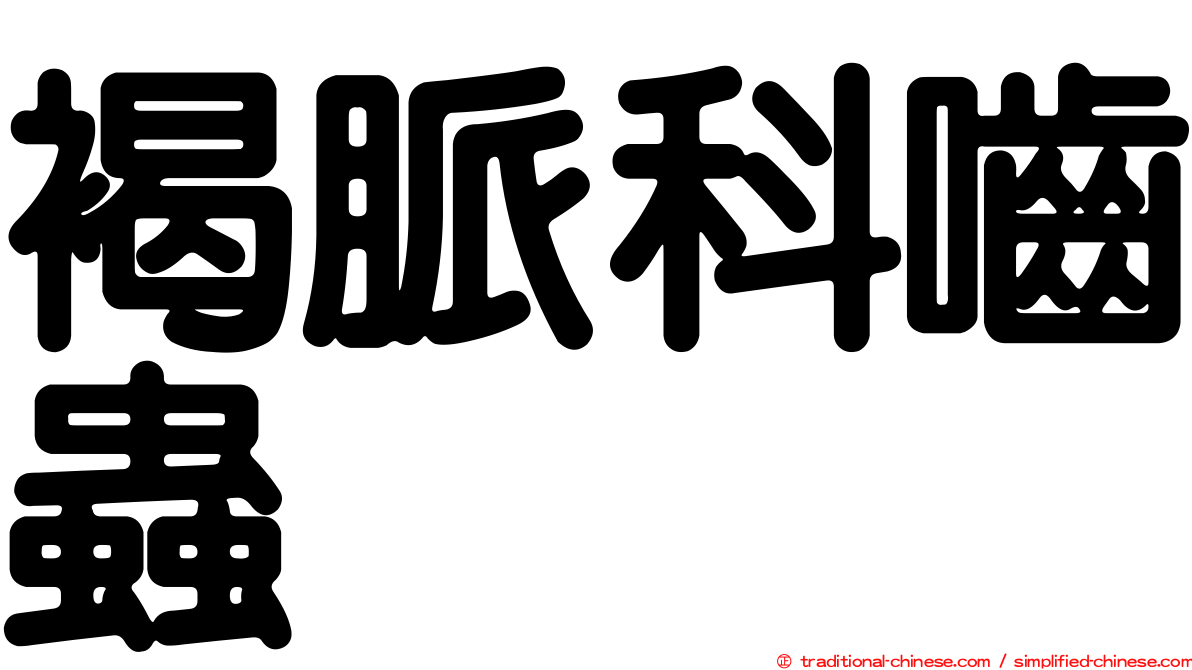 褐脈科嚙蟲
