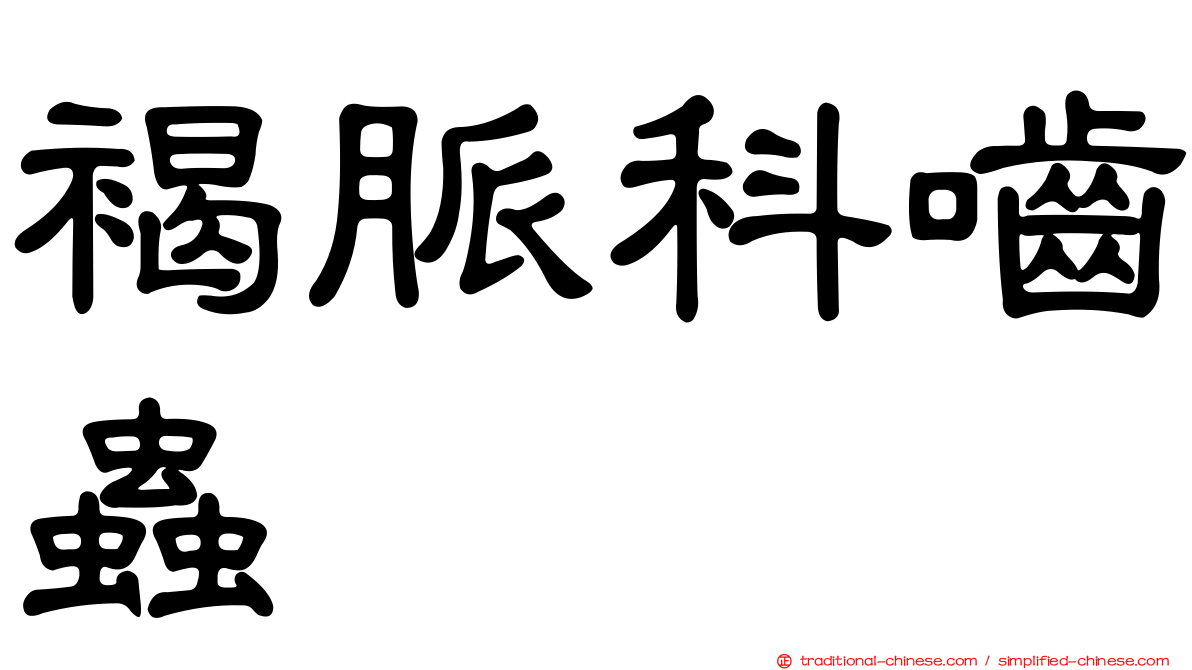 褐脈科嚙蟲