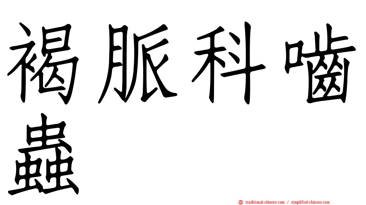 褐脈科嚙蟲