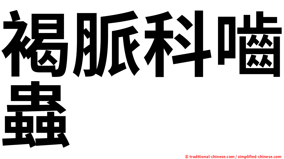 褐脈科嚙蟲
