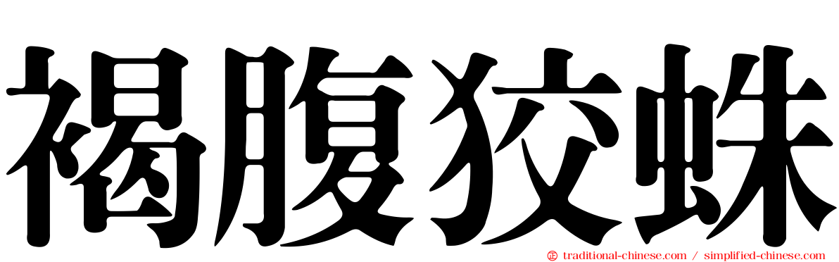 褐腹狡蛛